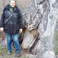 Репетитор, Москва, Сивашская улица, Нахимовский проспект, Валентина Ивановна