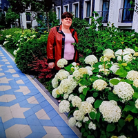 Сиделка, Москва, Ухтомская улица, Соколиная Гора, Юля Петронавна
