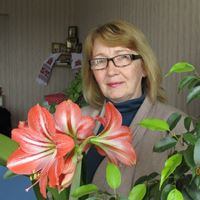 Сиделка, Санкт-Петербург, Ленинский проспект, Сосновая поляна, Елена Дмитриевна