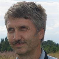 Репетитор, Санкт-Петербург, улица Есенина, Проспект Просвещения, Евгений Васильевич