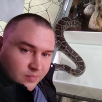 Водитель, рабочий посёлок Заречье, Каштановая улица, Сколковское шоссе, Николай Сергеевич