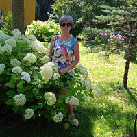 Домработница, Москва,, Бирюлево Восточное, Валентина Николаевна