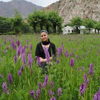 Няня, Москва, , Зеленоград, Айгуль Алимшоевна