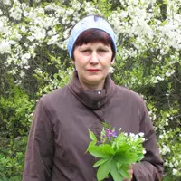 Няня, поселок городского типа Правдинский, Садовая улица, Пушкино, Людмила
