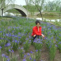 Няня, Москва, Нелидовская улица, Сходненская, Жанара Акматжановна