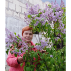 Няня, Санкт-Петербург, улица Кустодиева, Проспект Просвещения, Светлана Леонидовна