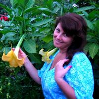 Няня, Жуковский, улица Чкалова, Жуковский, Елена Сергеевна
