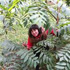 Няня, Нижний Новгород, проспект Ленина, Ленинский район, Елизавета Николаевна