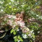 Репетитор, поселок городского типа Лысые Горы, улица Мира, Калининск, Анжелика Ирековна