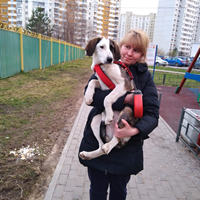 Няня, Москва,, Митино, Елена Олеговна