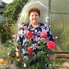 Сиделка, Москва, Бобруйская улица, Молодежная, Валентина Васильевна