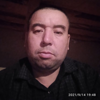 Семейная пара, деревня Степановское,, Ильинское шоссе, Зайниддин Жамолиддинович