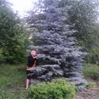 Сиделка, , , Бор, Любовь Алексеевна