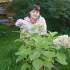 Няня, дачный посёлок Черкизово, Аптекарский переулок, Юбилейный, Анна Николаевна