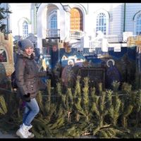 Домработница, Москва, Пролетарский проспект, Кантемировская, Наталья Дмитриевна