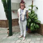 Домработница, посёлок Ленинское, Заречная улица, Комарово, Надежда Николаевна