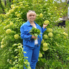 Няня, посёлок городского типа Лесной Городок,, Внуково, Инна