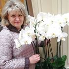Домработница, Котельники, Новая улица, Котельники, Светлана Васильевна