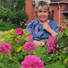Няня, Истра, улица Главного Конструктора В.И. Адасько, Истра, Светлана Николаевна