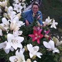 Няня, Москва, Сверчков переулок, Чистые пруды, Светлана Васильевна