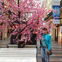 Няня, Москва, улица Расплетина, Октябрьское поле, Елена Геннадьевна