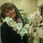 Няня, Мурино, Воронцовский бульвар, Девяткино, Марина Павловна