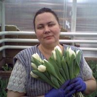 Домработница, Нижний Новгород, Новая улица, Центр, Наталья Сергеевна