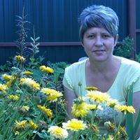 Сиделка, поселок Здравница, улица Дубки, Мытищи, Нина Ивановна