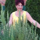 Сиделка, Краснодар, улица 30-й Иркутской Дивизии, в районе КМР, Ирина Ивановна
