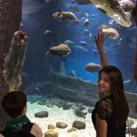 Репетитор, Дзержинск, улица Революции, Дзержинск, Оксана Яковлевна