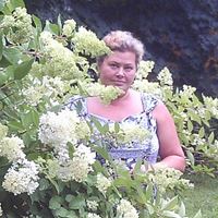 Няня, Санкт-Петербург, Пражская улица, Международная, Елена Валерьевна