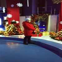 Няня, деревня Голубое, Тверецкий проезд, Зеленоград, Мария Степановна