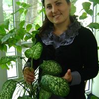 Няня, , , Ивантеевка, Анна Васильевна