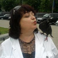 Няня, Санкт-Петербург, улица Оптиков, Беговая, Светлана Михайловна