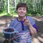 Домработница, Санкт-Петербург, Туристская улица, Беговая, Галина Владимировна