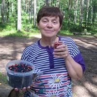 Домработница, Санкт-Петербург, улица Оптиков, Беговая, Ираида Ивановна