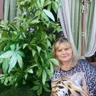 Домработница, деревня Боброво, Крымская улица, Южное Бутово, Федора Ивановна