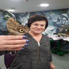 Няня, Санкт-Петербург, Шуваловский проспект, Комендантский проспект, Елена Васильевна