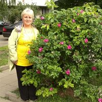 Домработница, Москва, Ленская улица, Бабушкинская, Ксения Константиновна