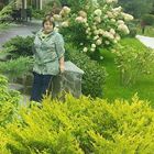 Домработница, поселок городского типа Большие Вяземы, , Голицыно, Наталья Владимировна