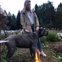 Домработница, поселок Первомайское, Советская улица, Зеленогорск, Татьяна Геннадьевна