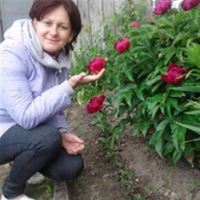 Домработница, Красногорск, Красногорский бульвар, Мякинино, Ирина Ивановна