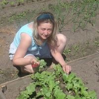 Домработница, Москва, улица Бориса Жигулёнкова, Шоссе Энтузиастов, Екатерина Владимировна