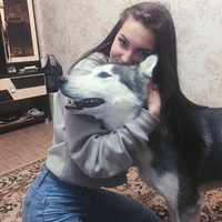 Няня, Санкт-Петербург, Кушелевская дорога, Площадь Мужества, Кристина Андреевна