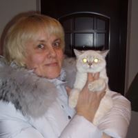 Домработница, Одинцово, Кутузовская улица, Сколковское шоссе, Татьяна Владимировна